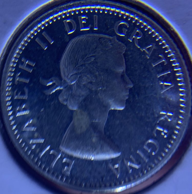 A-Running-Chain-Of-That-Coin-Dude's-World-Coin-Finds.